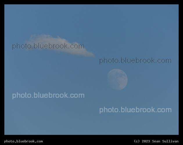 Moon with Tail - Corvallis MT