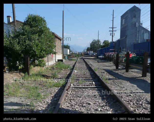 Tracks in Hamilton - Hamilton MT