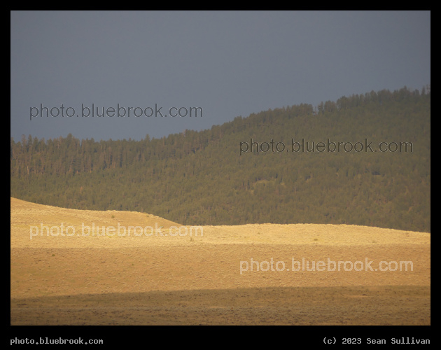 Sunlight on the Nearer Hills - Corvallis MT