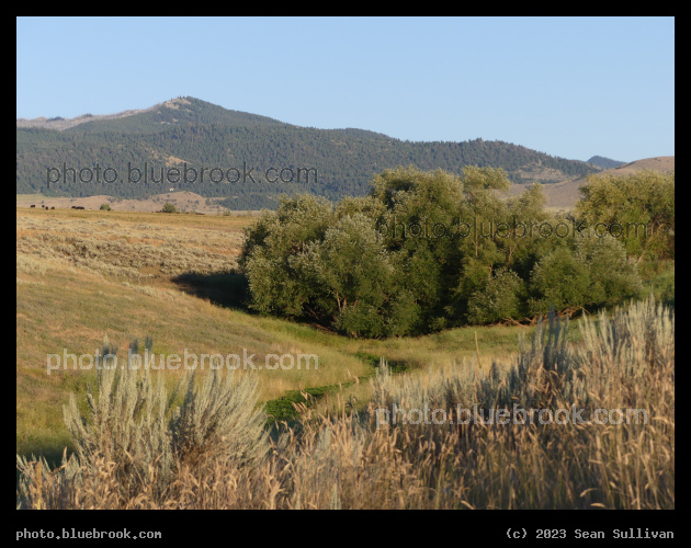 Grace in the Mountains - Corvallis MT