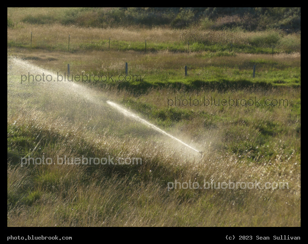 Evening Irrigation - Corvallis MT