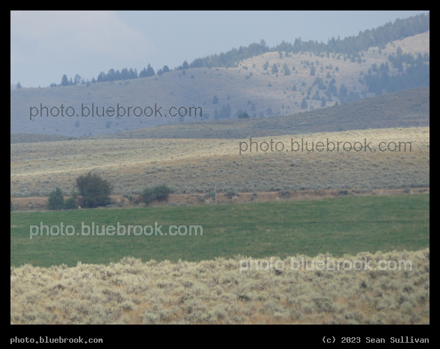 A Series of Hills - Corvallis MT