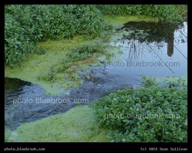 Emerald Environ - Corvallis MT