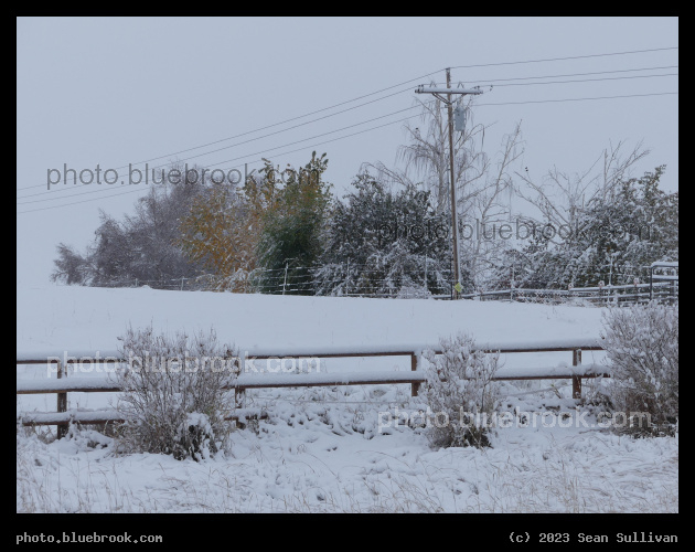 Sudden Arrival of Winter - Corvallis MT