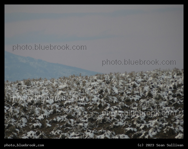 Predawn Hillside - Corvallis MT