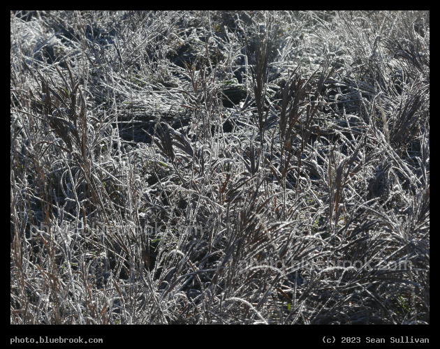Frosty Edging - Corvallis MT