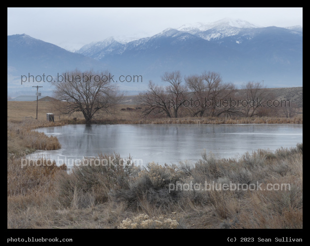 Pond in December - Corvallis MT