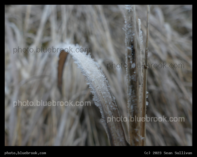 Frost on a Curve - Corvallis MT
