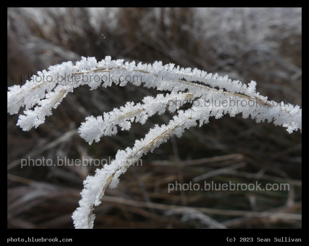 Winter Crystals in the Sun - Corvallis MT