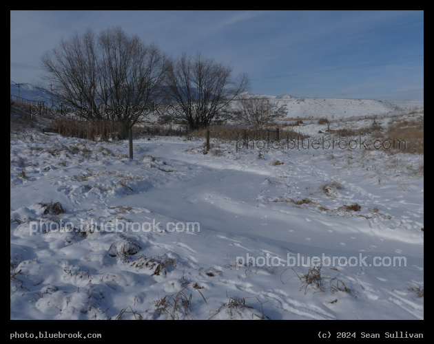 Snow Covered Stream - Corvallis MT