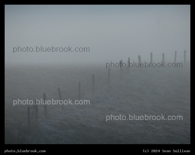 Fence in the Fog - Corvallis MT