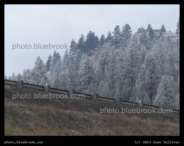 Guardrail Above - Lolo MT