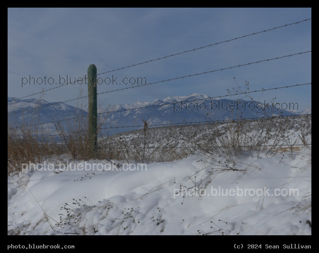 Fence in the Snow - Corvallis MT