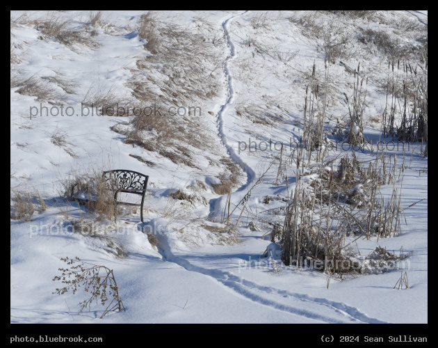 Meandering Critter Trail - Corvallis MT
