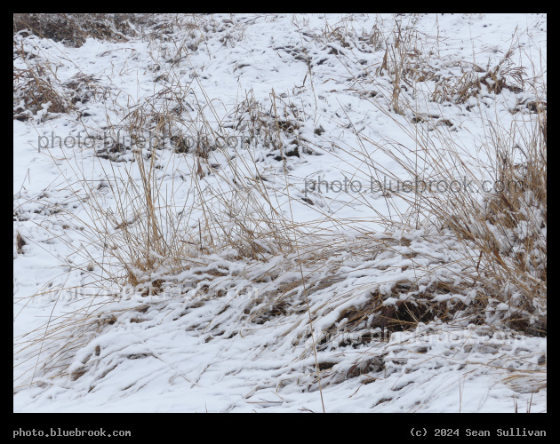 Heavy Wet Snow - Corvallis MT