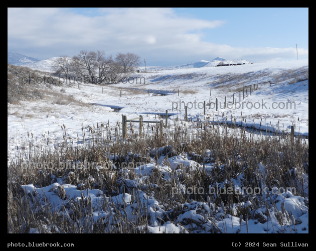 Snowy Marsh - Corvallis MT