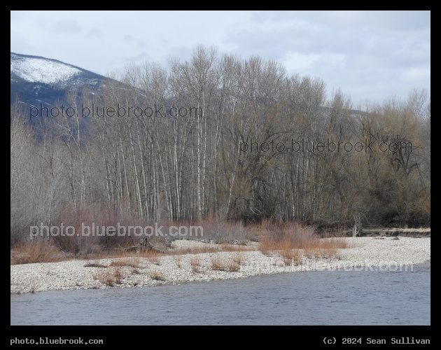 March at Skalkho Bend - Skalkaho Bend Park, Hamilton MT