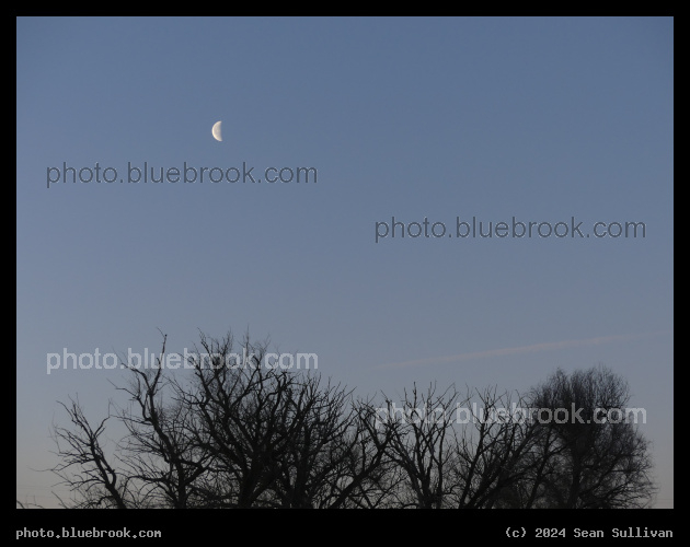 Trajectory towards Eclipse - Waning quarter moon at sunrise, Corvallis MT