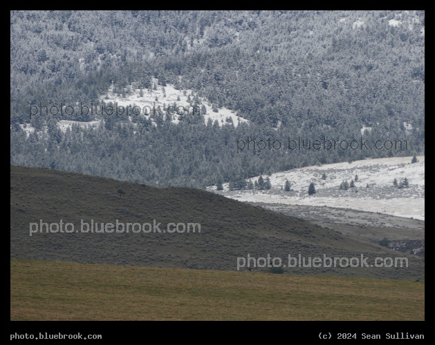 Layers of Pastures and Snow - Corvallis MT