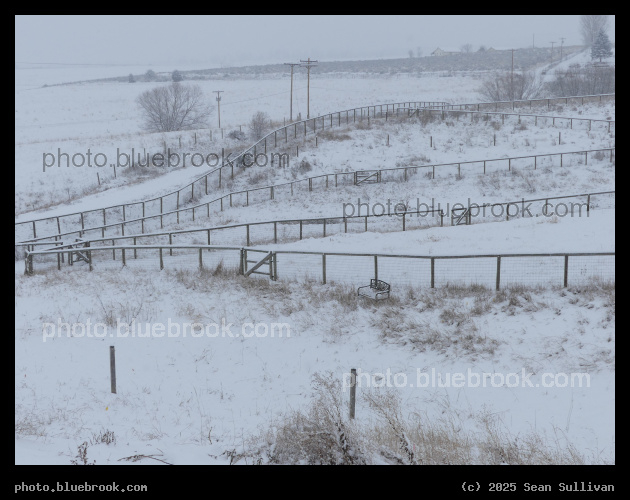 Winter Pastures - Corvallis MT