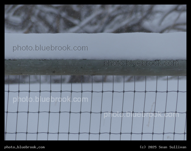 Snowing on the Fence - Corvallis MT