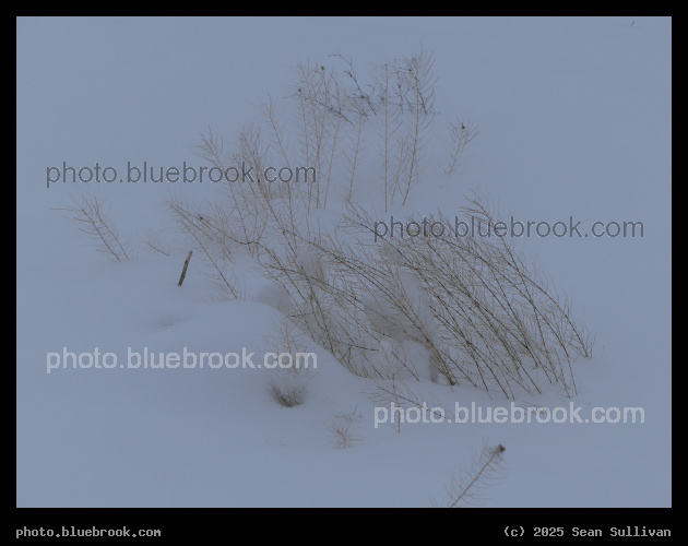 Snowing on the Ground - Corvallis MT