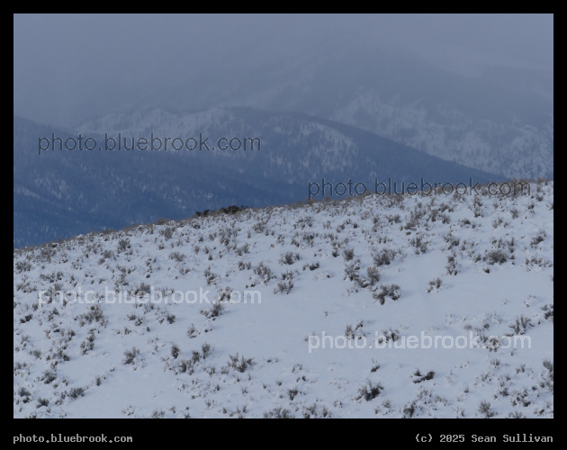 Snow on the Hill - Corvallis MT