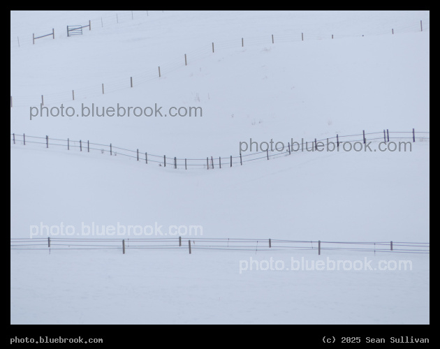 Fences in the Snow I - Corvallis MT