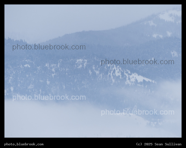 Snow and Fog - Corvallis MT