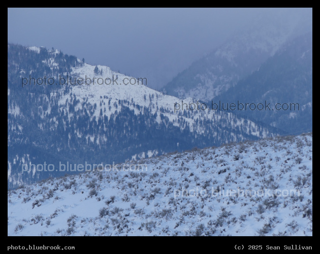Snow on the Mountains - Corvallis MT