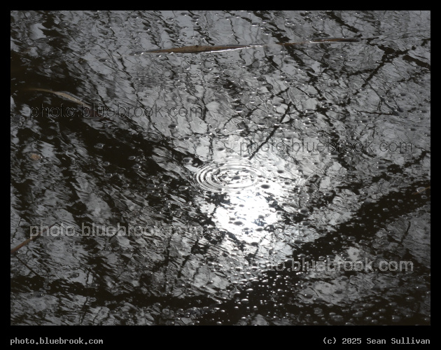 Ripples in the Flood - Corvallis MT