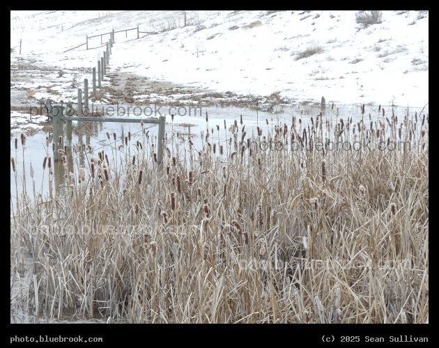 Fenceline in Snowmelt - Corvallis MT
