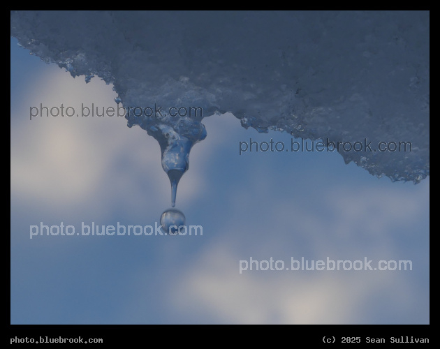 Droplet II - Corvallis MT