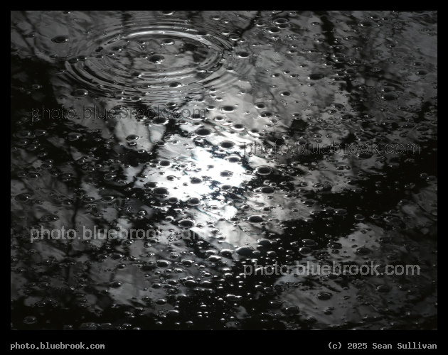 Sun Reflected in Textured Water - Corvallis MT