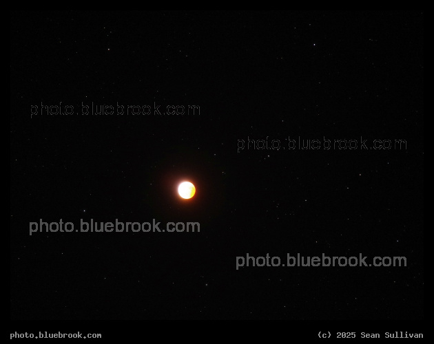Eclipsed Moon and Stars - Corvallis MT