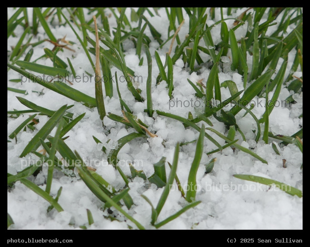 Back to Winter - Missoula MT