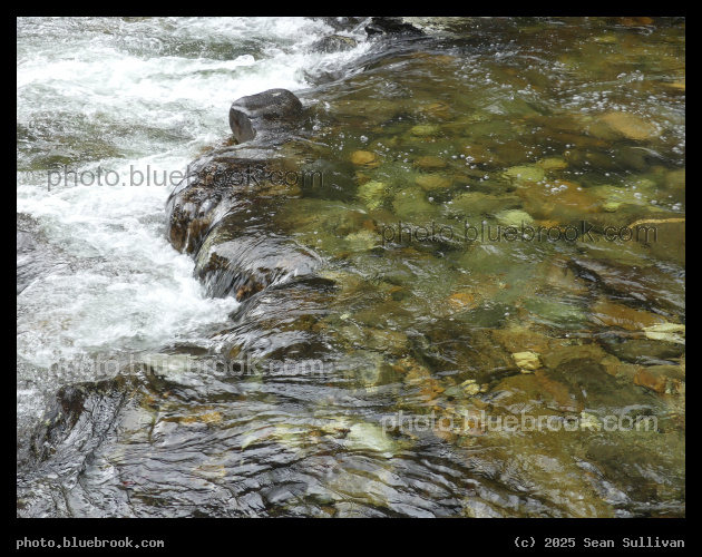 Clear Rushing Stream - Kootenai Creek, Bitterroot National Forest, Stevensville MT