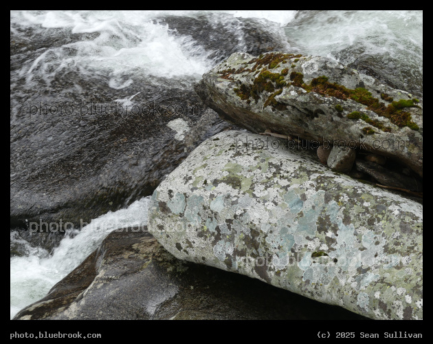 Naturally Decorated Rocks - Kootenai Creek, Bitterroot National Forest, Stevensville MT