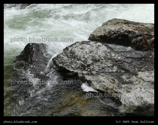 Flow of the Stream - Kootenai Creek, Bitterroot National Forest, Stevensville MT