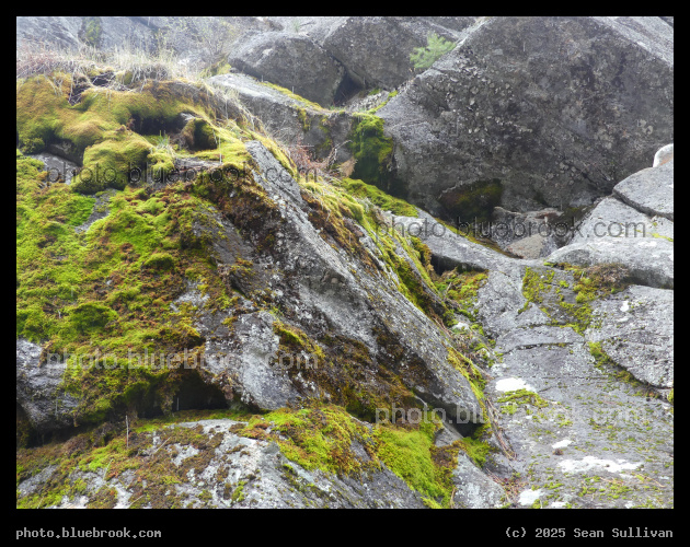 Landscape of Moss and Rock - Kootenai Creek Trail, Bitterroot National Forest, Stevensville MT
