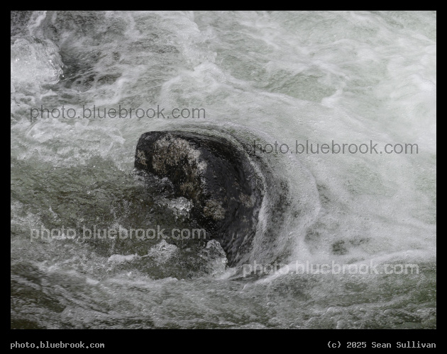 In the Froth - Kootenai Creek, Bitterroot National Forest, Stevensville MT