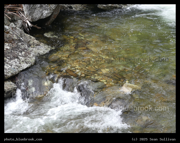 View into the Water - Kootenai Creek, Bitterroot National Forest, Stevensville MT