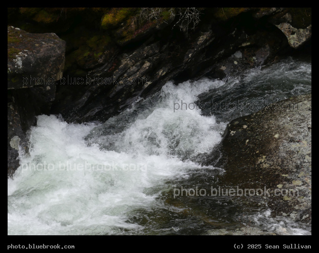 Splashing against the Rocks - Kootenai Creek, Bitterroot National Forest, Stevensville MT