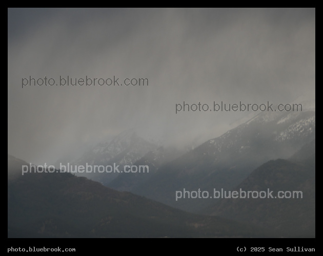 Bitterroots in Gray Clouds - Corvallis MT