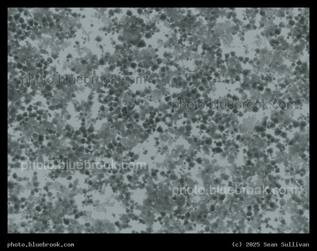 Graupel on a Skylight - Corvallis MT