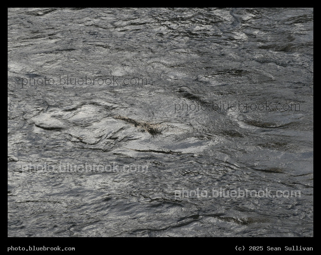 River Texture - Bitterroot River, Stevensville MT