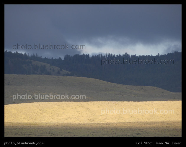 Sunbeam on the Hills - Corvallis MT