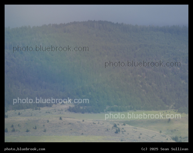 Rainbow in the Foreground - Corvallis MT
