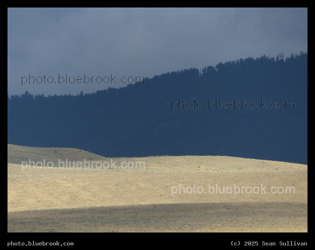A Strip of Sunlight - Corvallis MT