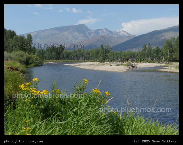 Bitterroot River in July - Bitterroot River, Skalko Bend Park, Hamilton MT
